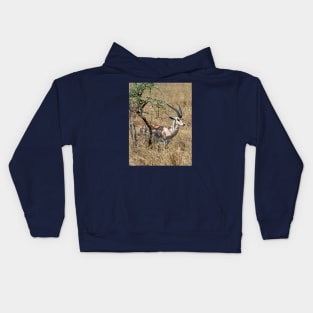 Wild Gazelle in Tanzania Kids Hoodie